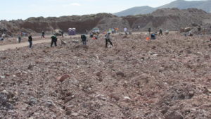 Bisbee Tailing Field